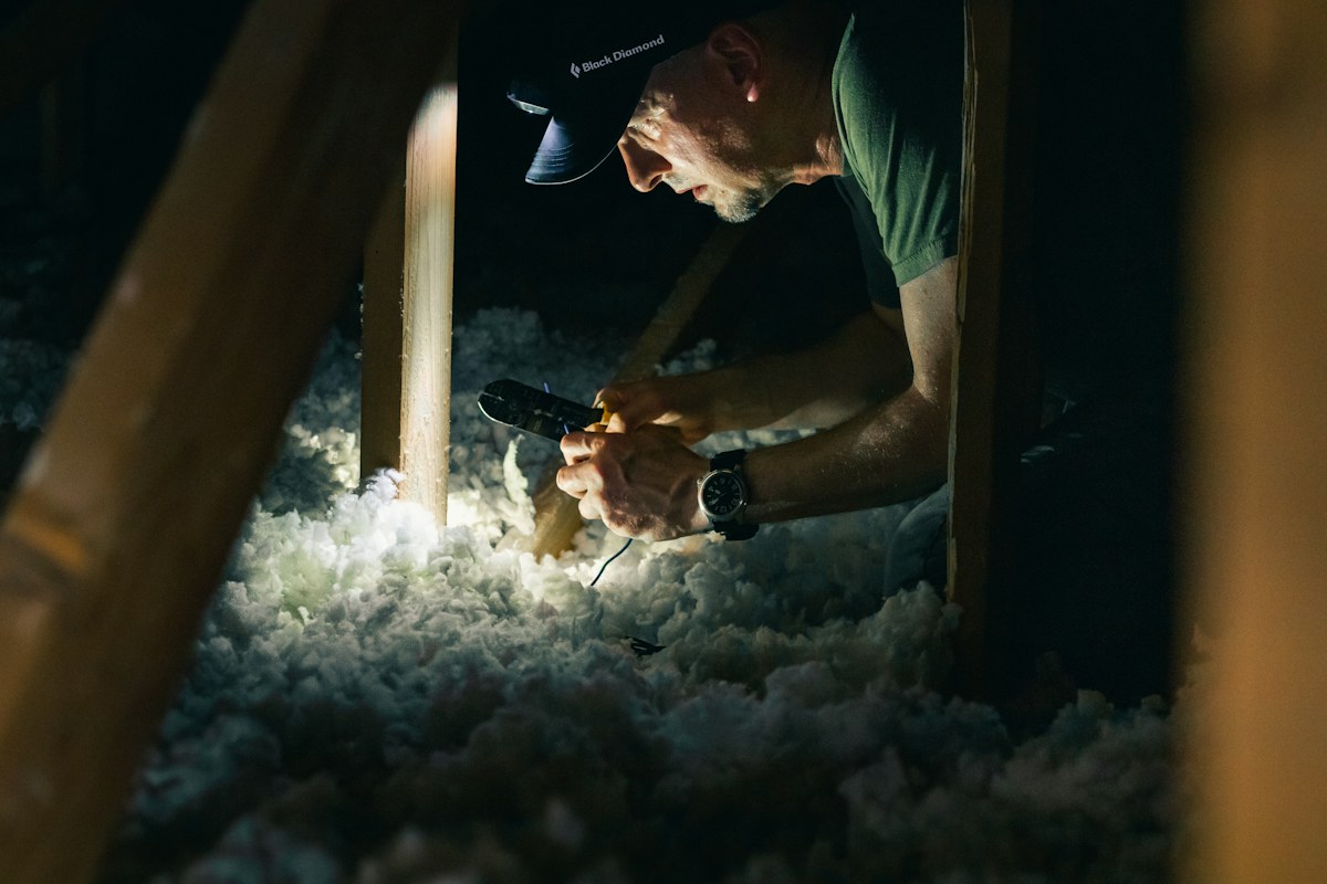 Rodent removal and cleanup in an El Paso attic
